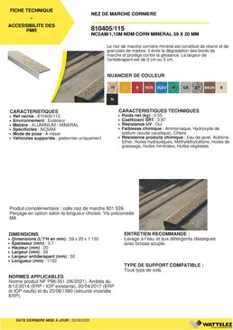 Nez de marche cornière minéral NC5AM 59 X 20 MM | PROOPLE 