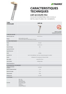 Escalier escamotable avec échelle métallique | LMF60 Coupe-feu