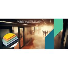 Plaques pré-colorées pour revêtement mural intérieur | LEXAN™ CLINIWALL™ Sheet