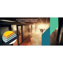 Plaques pré-colorées pour revêtement mural intérieur | LEXAN™ CLINIWALL™ Sheet