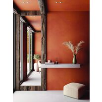 Enduit mural à l'argile issus de la valorisation des excédents de briques | MClay