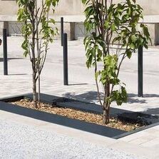 Grille d’arbre en plats sur chant  | Cambridge