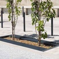 Grille d’arbre en plats sur chant  | Cambridge