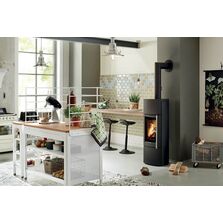 Poêle à bois en fonte | Delta Plus Leda