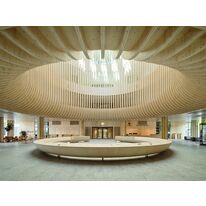 Eléments constructifs préfabriqués sur mesure en bois massif CLT et LVL | Sylva