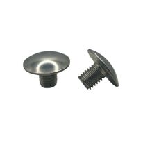 CLOUS PODOTACTILES INOX 304 TETE LISSE A SCELLER TETE D.25 KIT DE 200 | WATTELEZ 