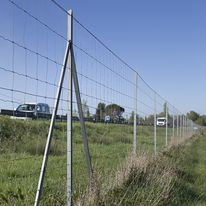 Grillage rouleau agricole galvanisé | Noué