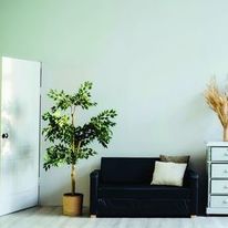 Peinture mate ou velours à base de résine alkyde biosourcée | Biome