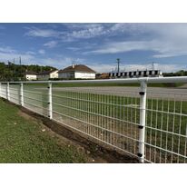 Clôture sportive I Main courante avec panneaux en applique