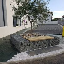 Banc entourage d'arbre carré en gabions | Entourage d'arbres