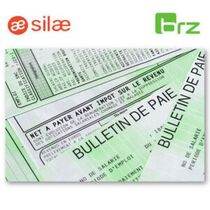 Logiciel de Paie pour processus RH | My Silae