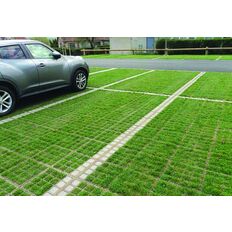 Dalle carrossable pour végétalisation des sols urbains | O2D Green