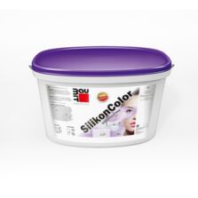 Peinture façade siloxanée D2 | Baumit SilikonColor