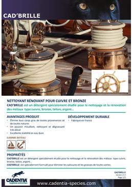 Nettoyant rénovant pour cuivre et bronze | CADENTIA CAD’BRILLE