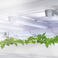 Équipement électrique plug & play pour l'horticulture | RST®