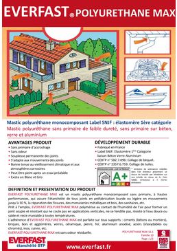 Mastic polyuréthane monocomposant Label SNJF | EVERFAST POLYURETHANE MAX 